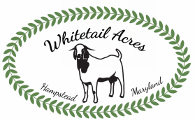 Whitetail Acres